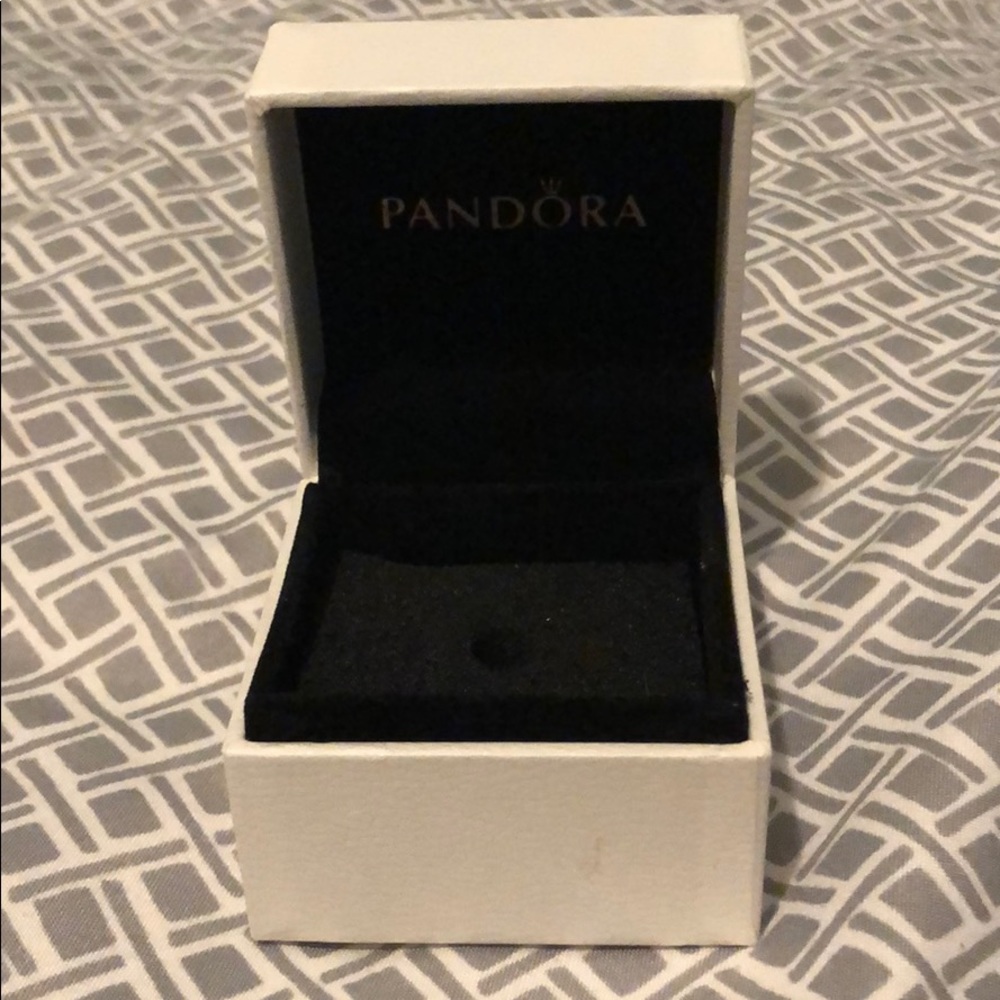 Pandora Charm Gift Box